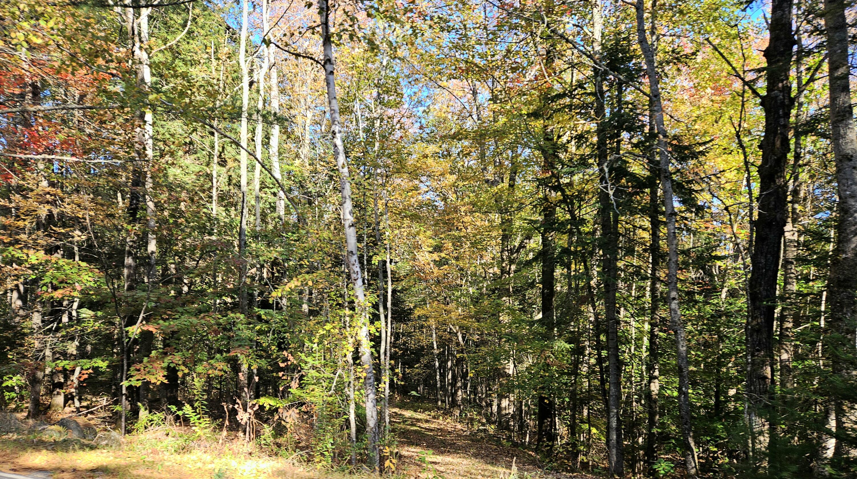 Lot 65 Church Street Brownville ME 04414