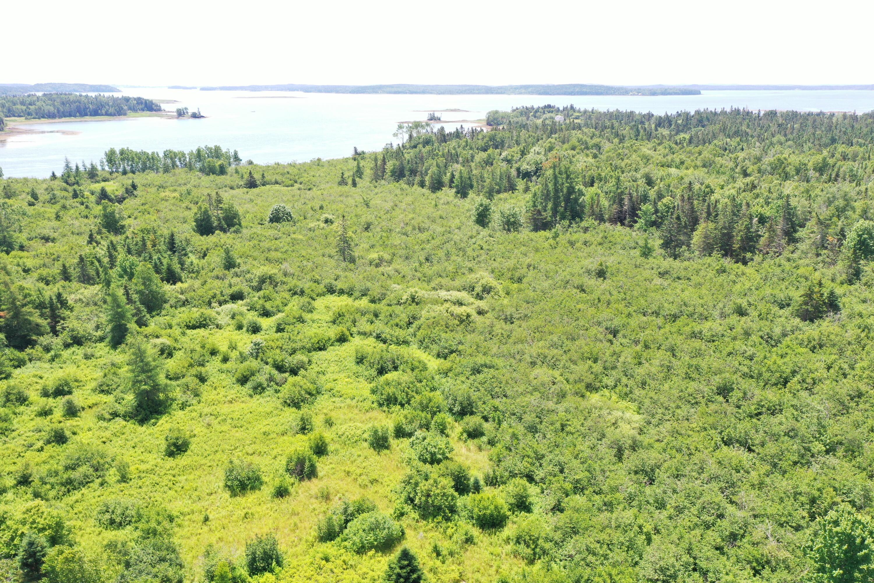 M2 L15-007 Cannon Hill Road Perry ME 04667