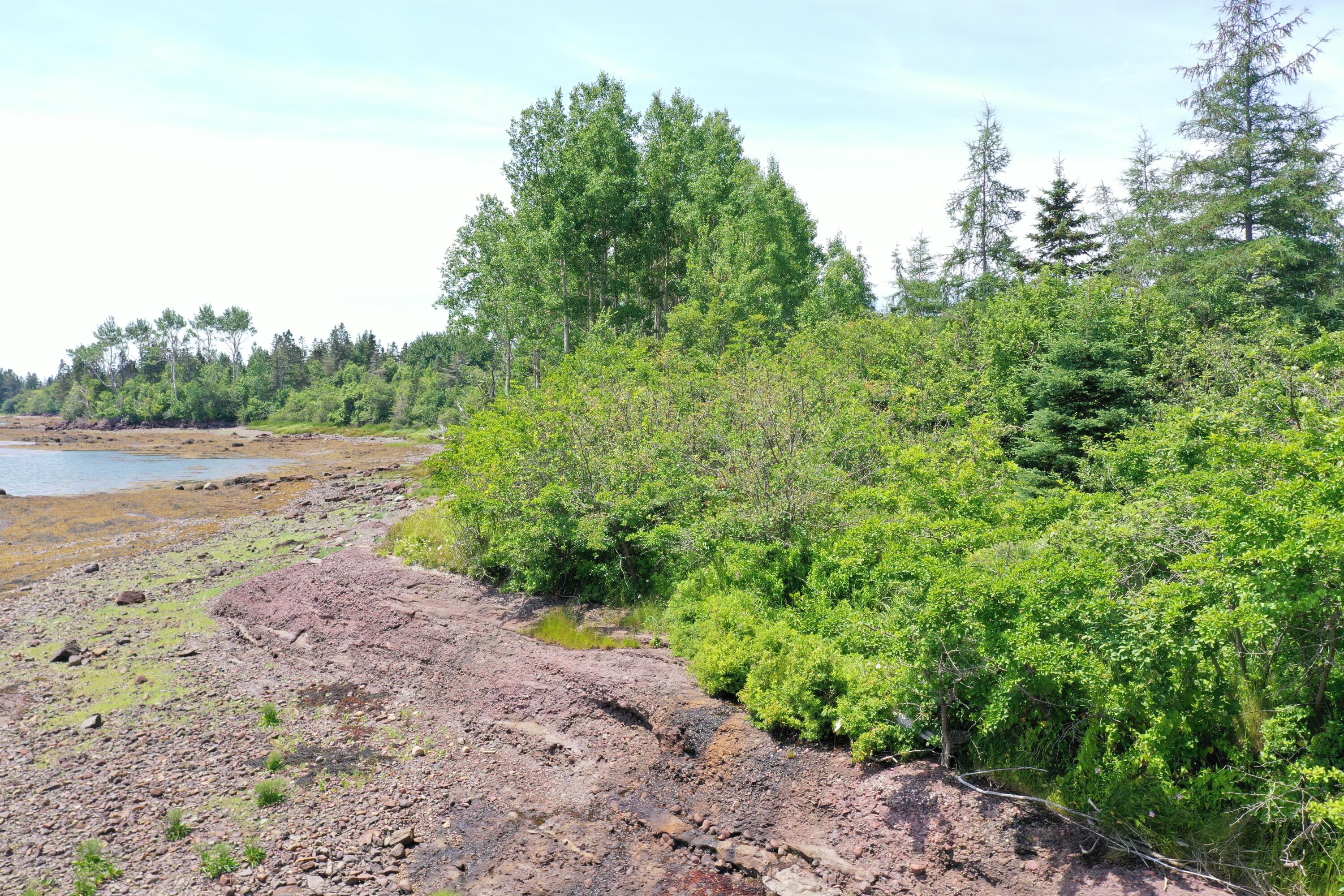 M2 L15-007 Cannon Hill Road Perry ME 04667