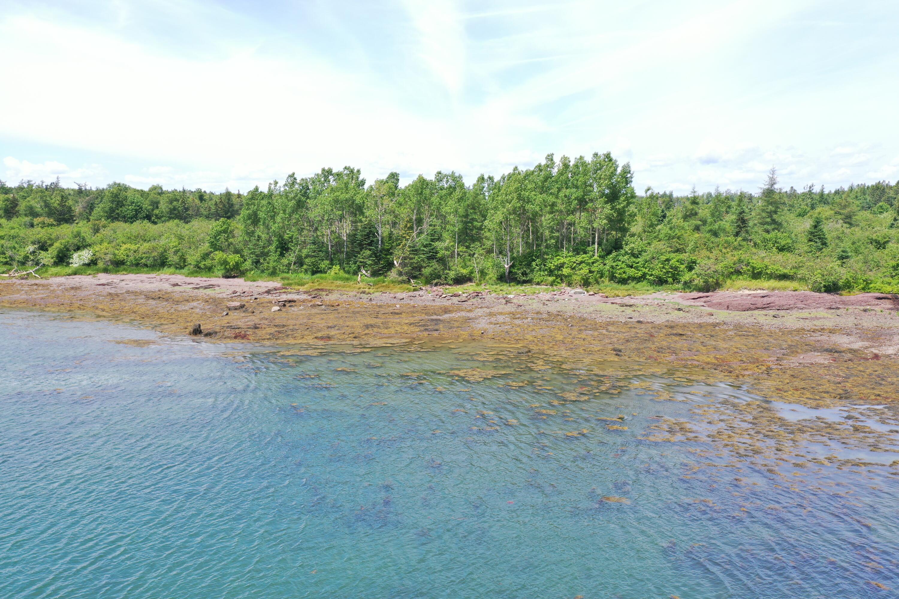 M2 L15-007 Cannon Hill Road Perry ME 04667