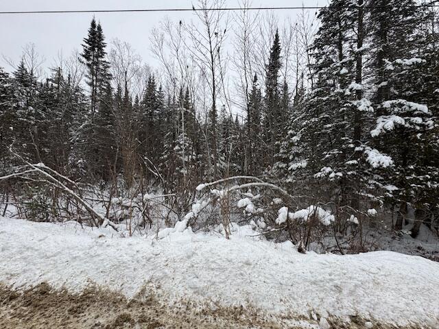 Lot 15-15 Stetson Road Levant ME 04456