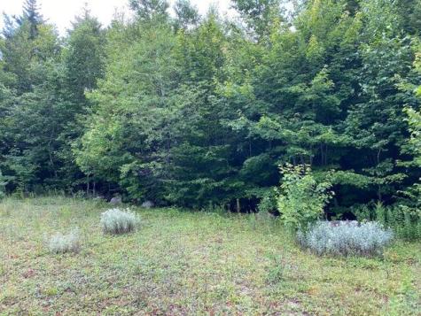 WA2 Partridge Knoll Cathance Twp ME 04628