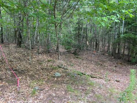 WA2 Partridge Knoll Cathance Twp ME 04628