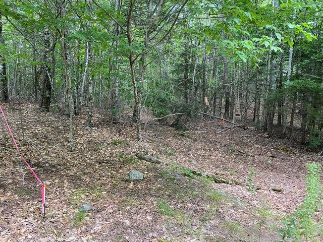 WA2 Partridge Knoll Cathance Twp ME 04628