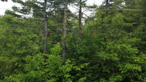 Lot 6.3 Houlton Road Brookton Twp ME 04413