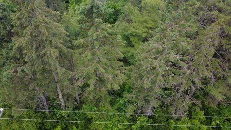 Lot 6.3 Houlton Road Brookton Twp ME 04413