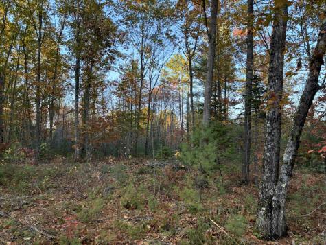 Lot 16 (2) Whittier Road Farmington ME 04938