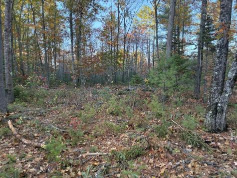 Lot 16 (2) Whittier Road Farmington ME 04938