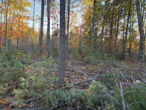 Lot 16 (2) Whittier Road Farmington ME 04938