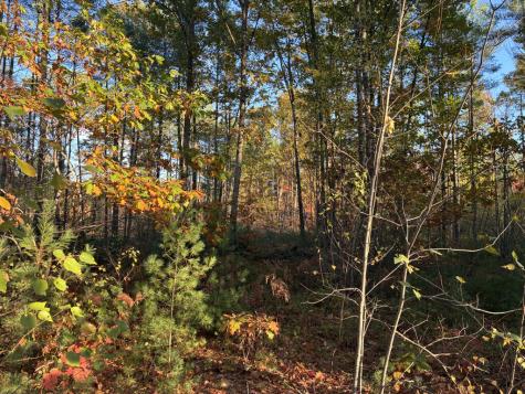Lot 16 (2) Whittier Road Farmington ME 04938