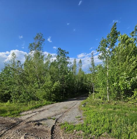 Lot # 8 Moonlight Drive Harrison ME 04040