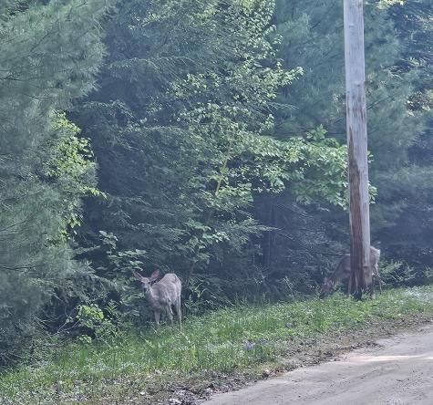 Lot # 8 Moonlight Drive Harrison ME 04040