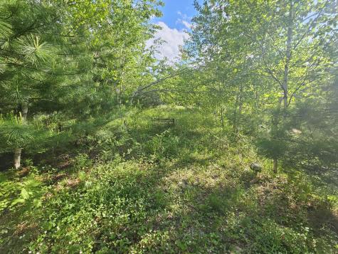 Lot # 8 Moonlight Drive Harrison ME 04040