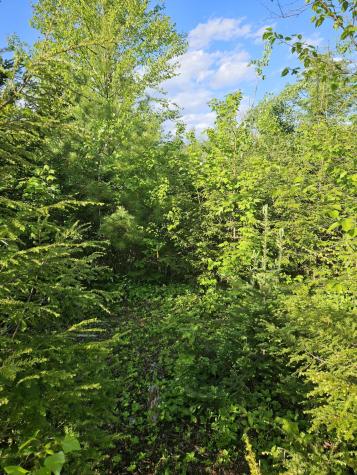 Lot # 8 Moonlight Drive Harrison ME 04040