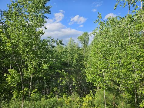 Lot # 8 Moonlight Drive Harrison ME 04040