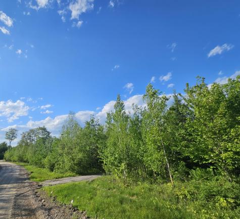 Lot # 8 Moonlight Drive Harrison ME 04040