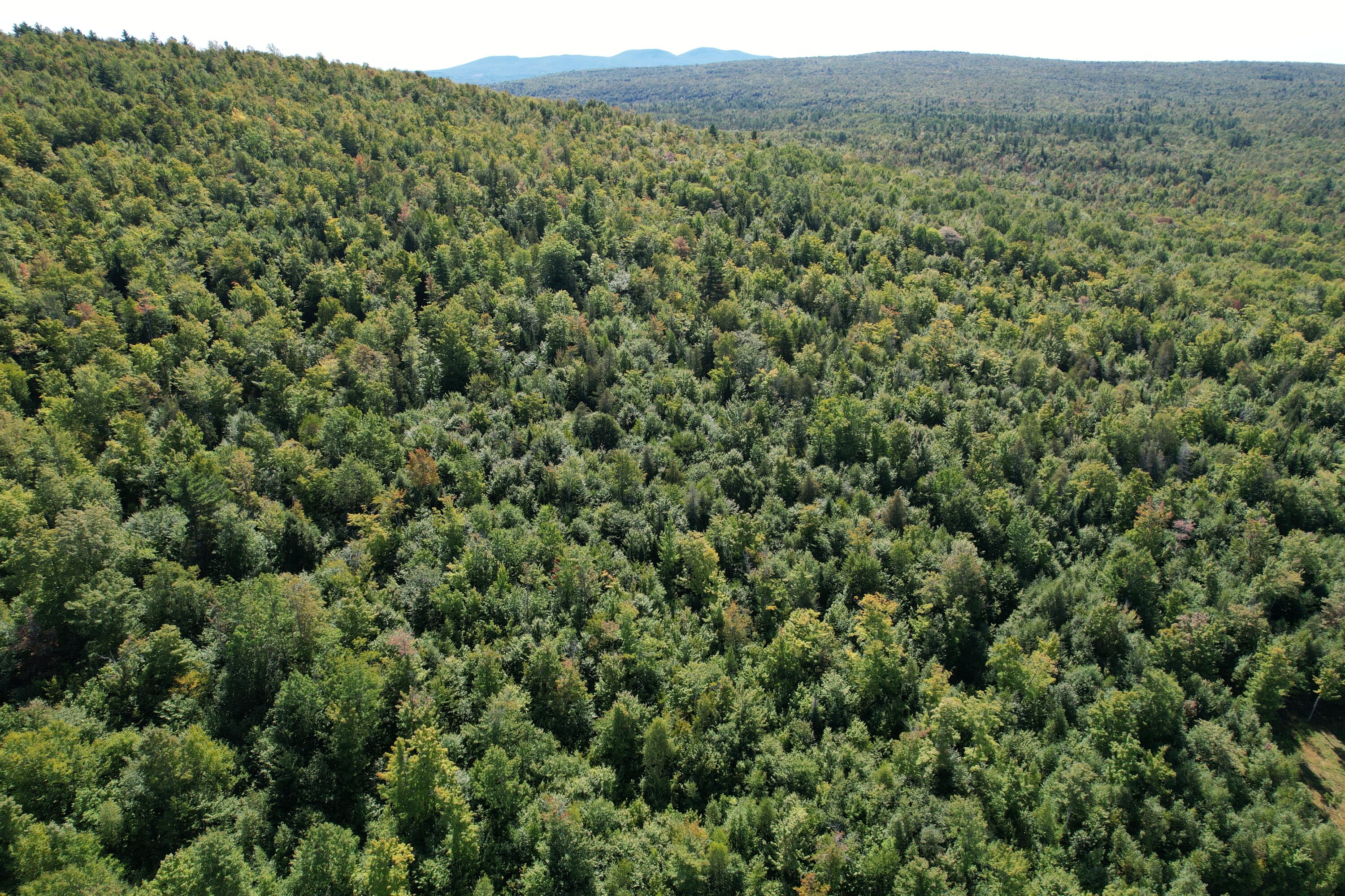 8 High Ground Road Freeman Twp ME 04983