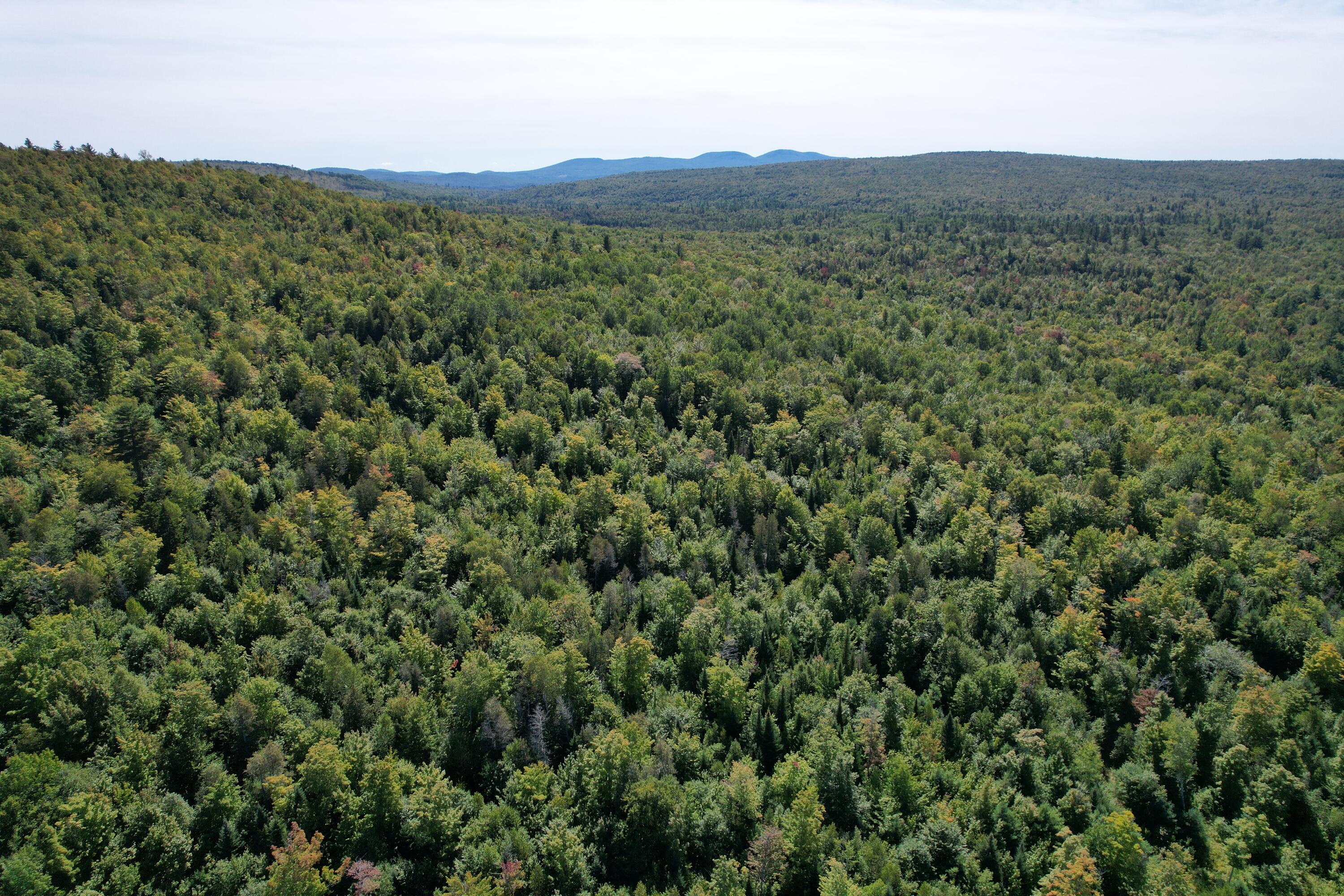 8 High Ground Road Freeman Twp ME 04983