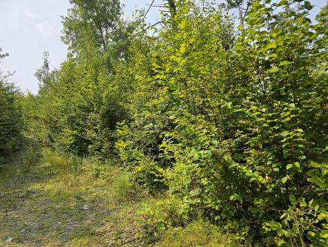 LOT7 Bear Brook Subdivision Sebec ME 04481