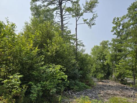 LOT7 Bear Brook Subdivision Sebec ME 04481