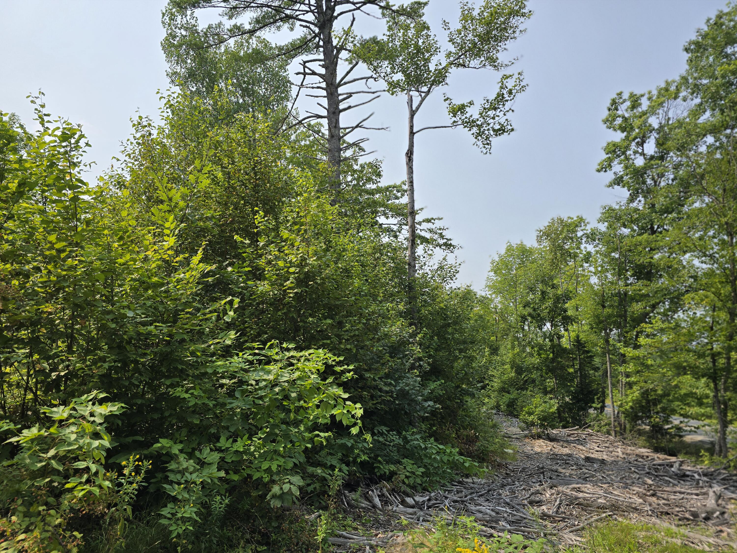 LOT7 Bear Brook Subdivision Sebec ME 04481