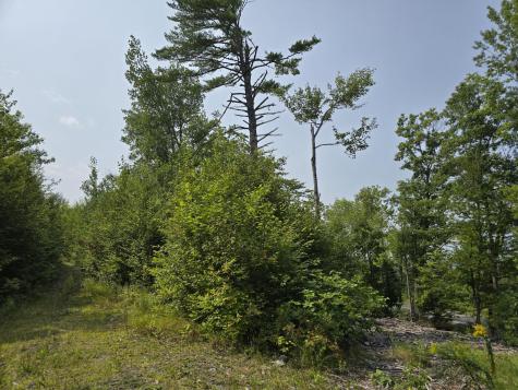 LOT7 Bear Brook Subdivision Sebec ME 04481