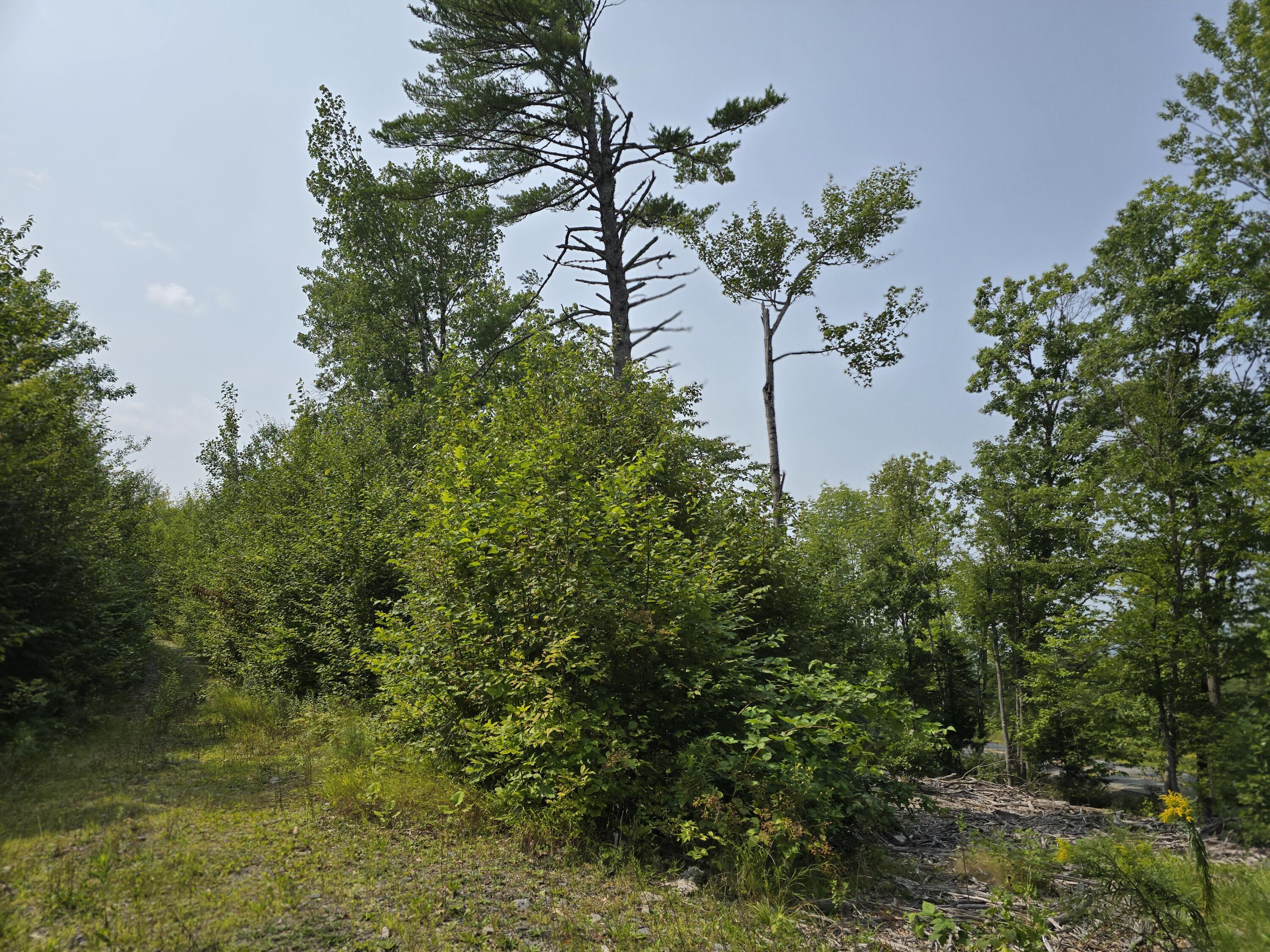 LOT7 Bear Brook Subdivision Sebec ME 04481