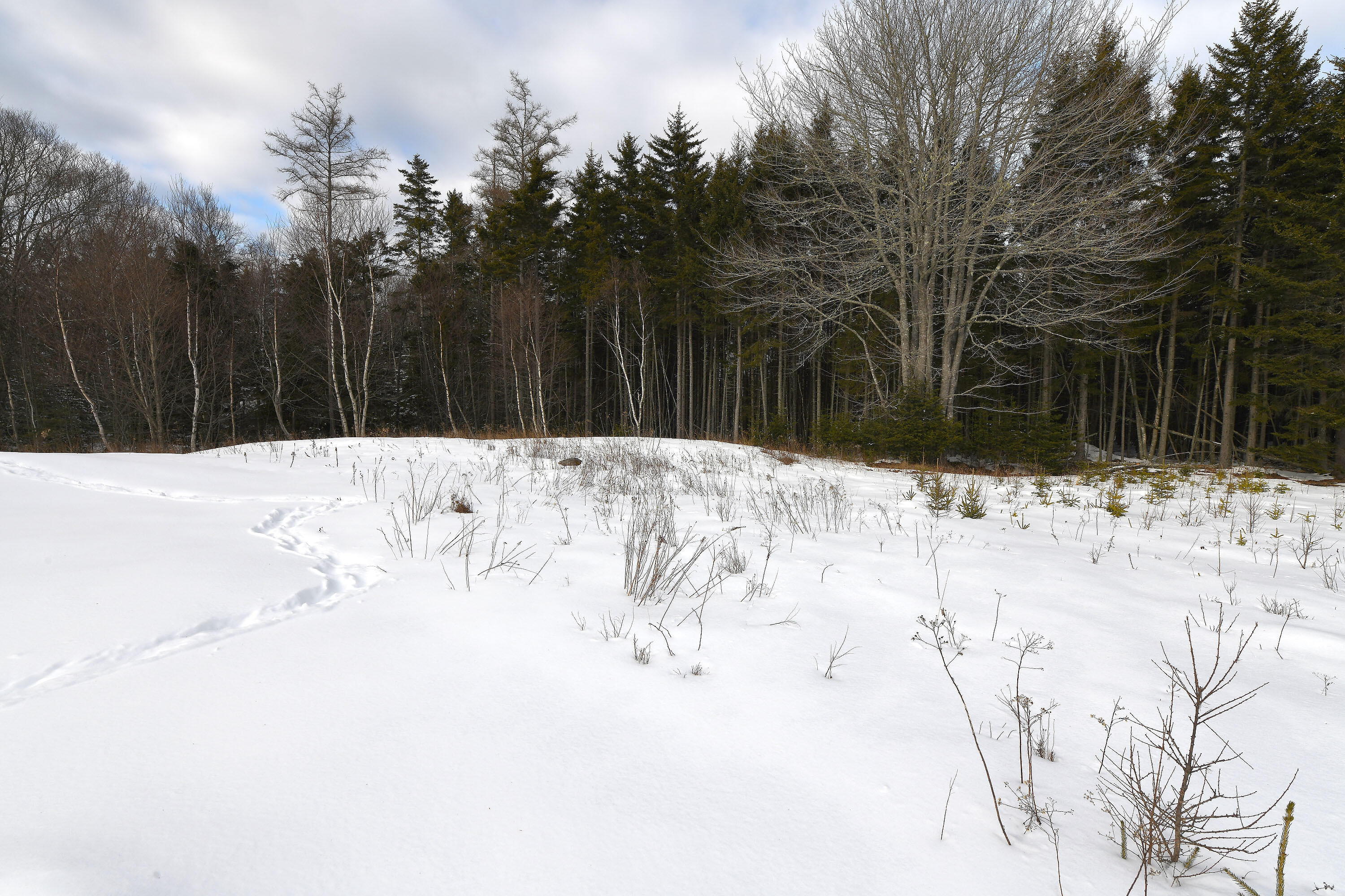 12 Lindsay's Road Deer Isle ME 04627