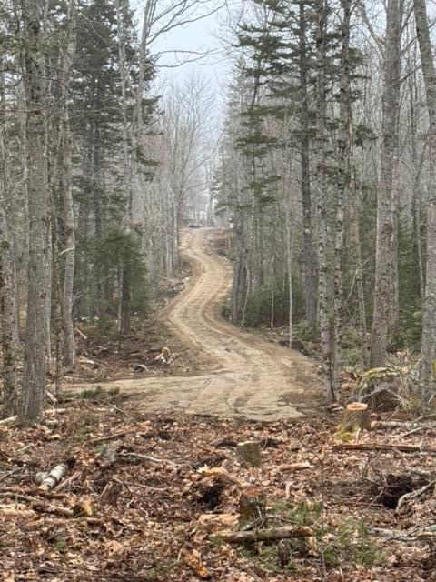 Tbd Beech Hill Road Blue Hill ME 04614