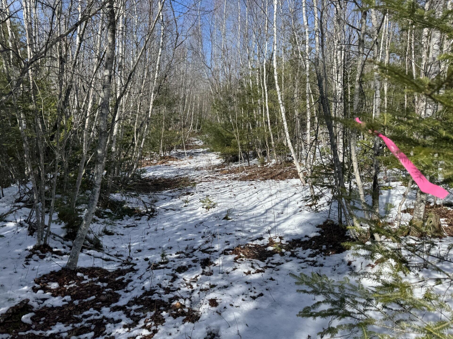 Lot 21 Bog Road Benton ME 04901