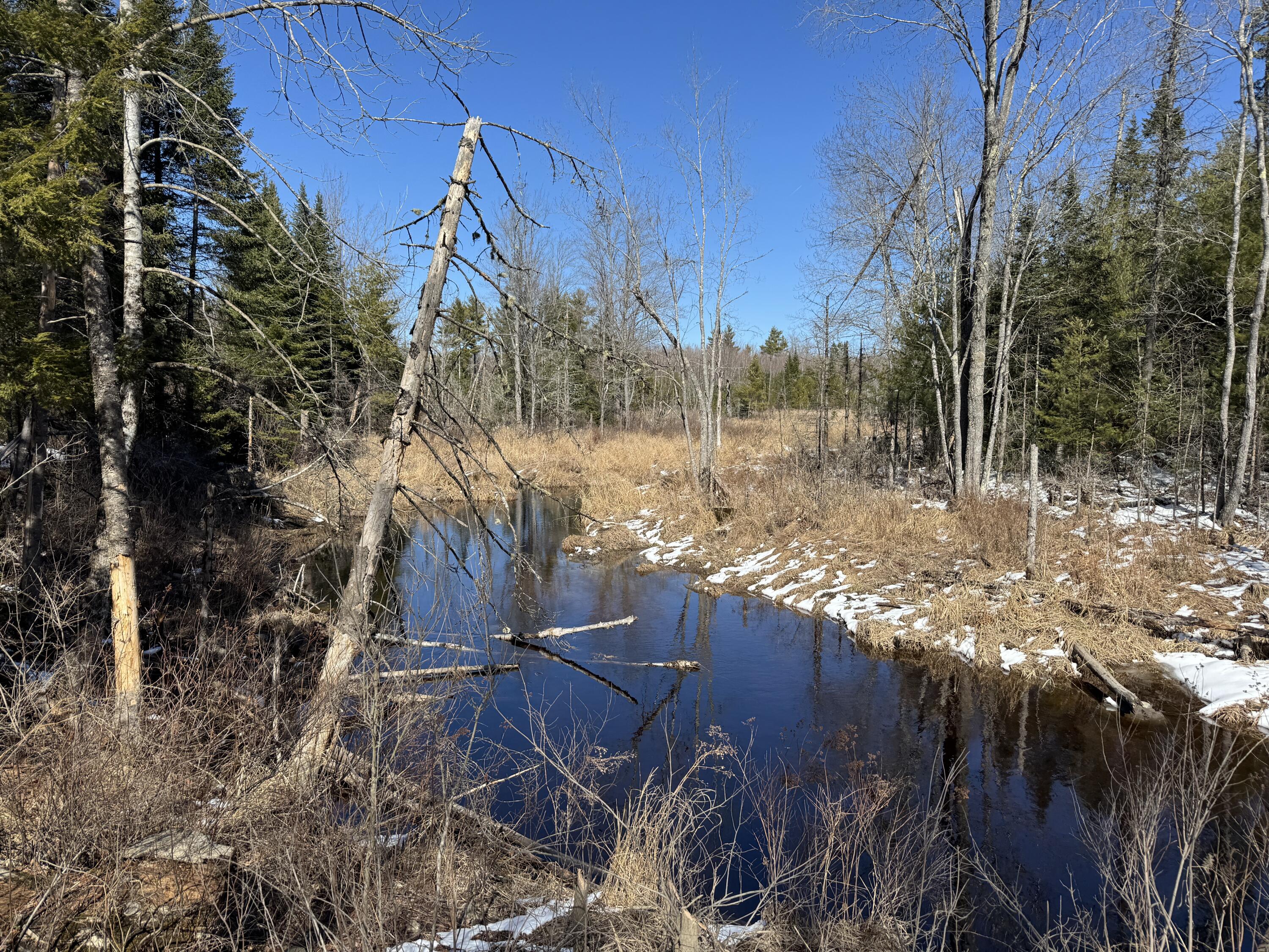 Lot 21 Bog Road Benton ME 04901