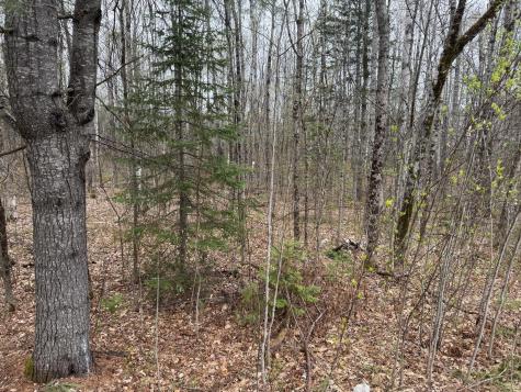 Lot 21 Bog Road Benton ME 04901