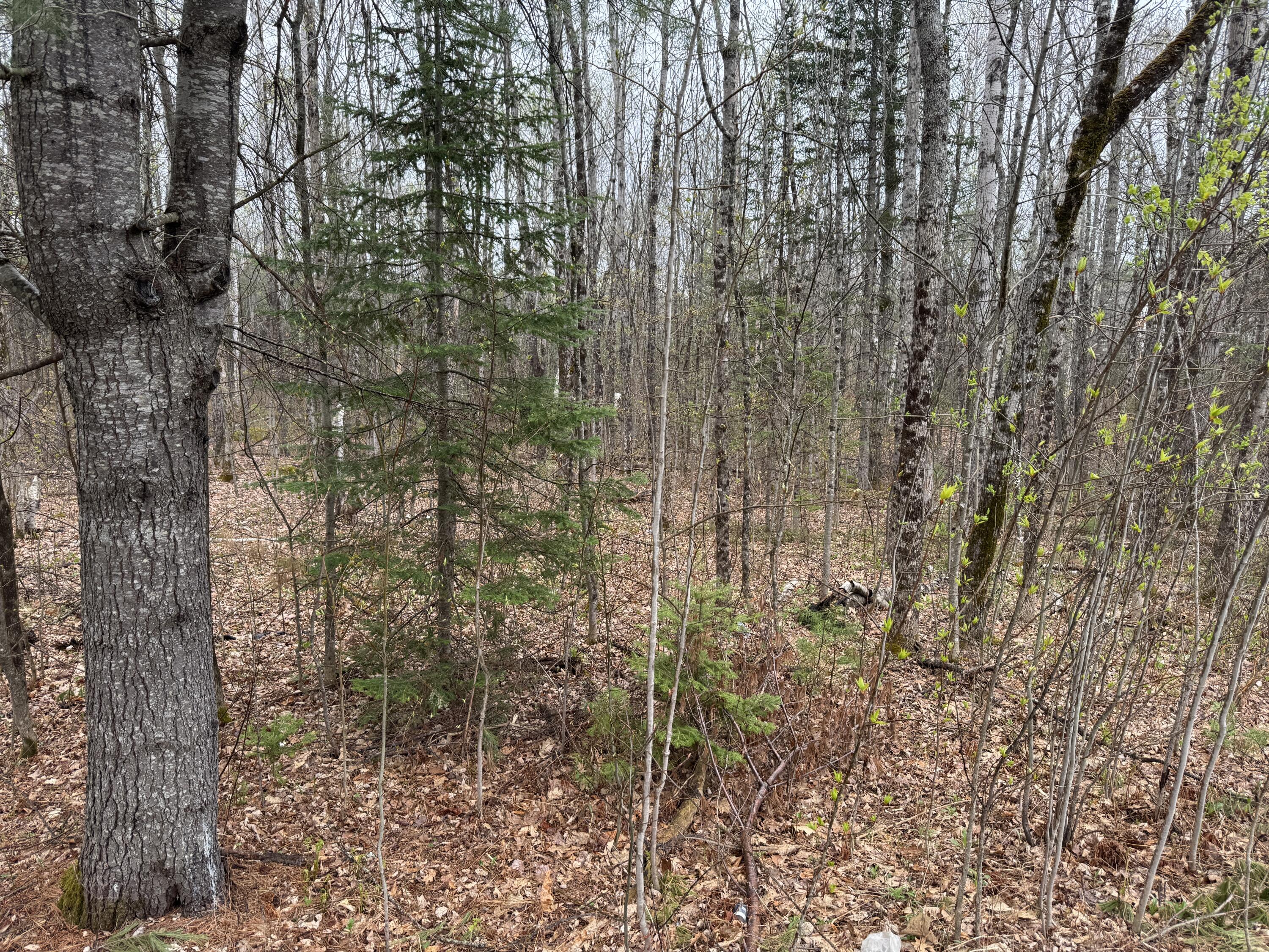 Lot 21 Bog Road Benton ME 04901