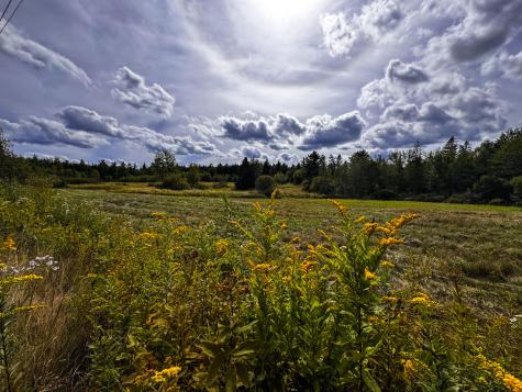 219 Smith Ridge Road Dennysville ME 04628