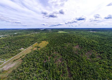 219 Smith Ridge Road Dennysville ME 04628