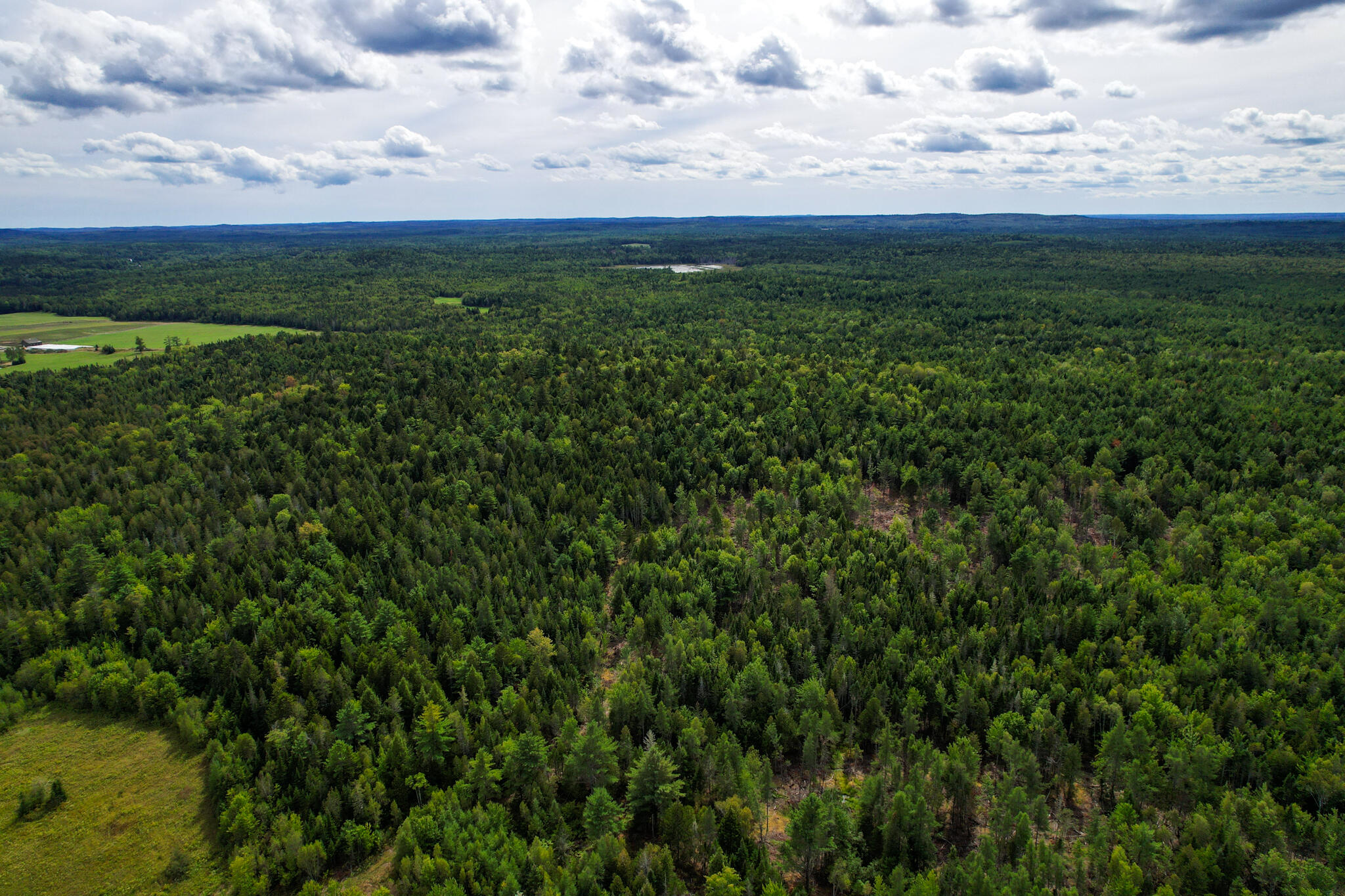 219 Smith Ridge Road Dennysville ME 04628