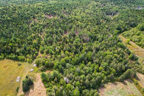 219 Smith Ridge Road Dennysville ME 04628