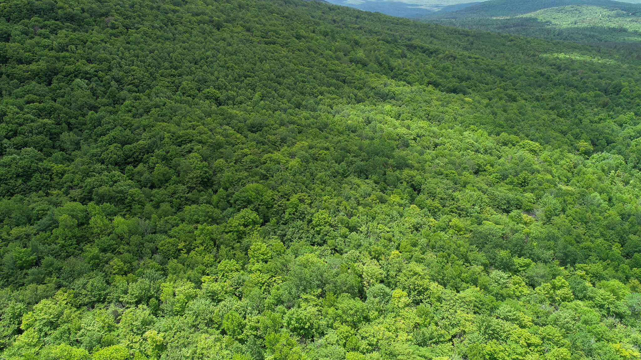 Map 402 Lot 7 Road Rumford ME 04276