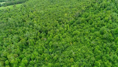 Map 402 Lot 7 Road Rumford ME 04276