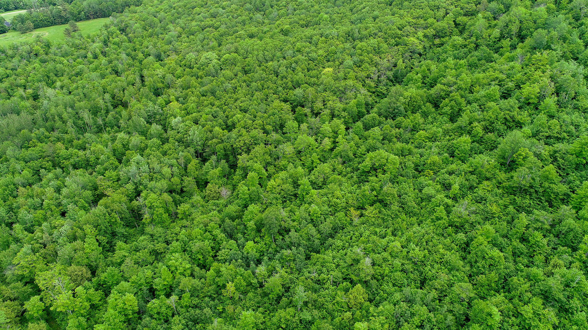 Map 402 Lot 7 Road Rumford ME 04276