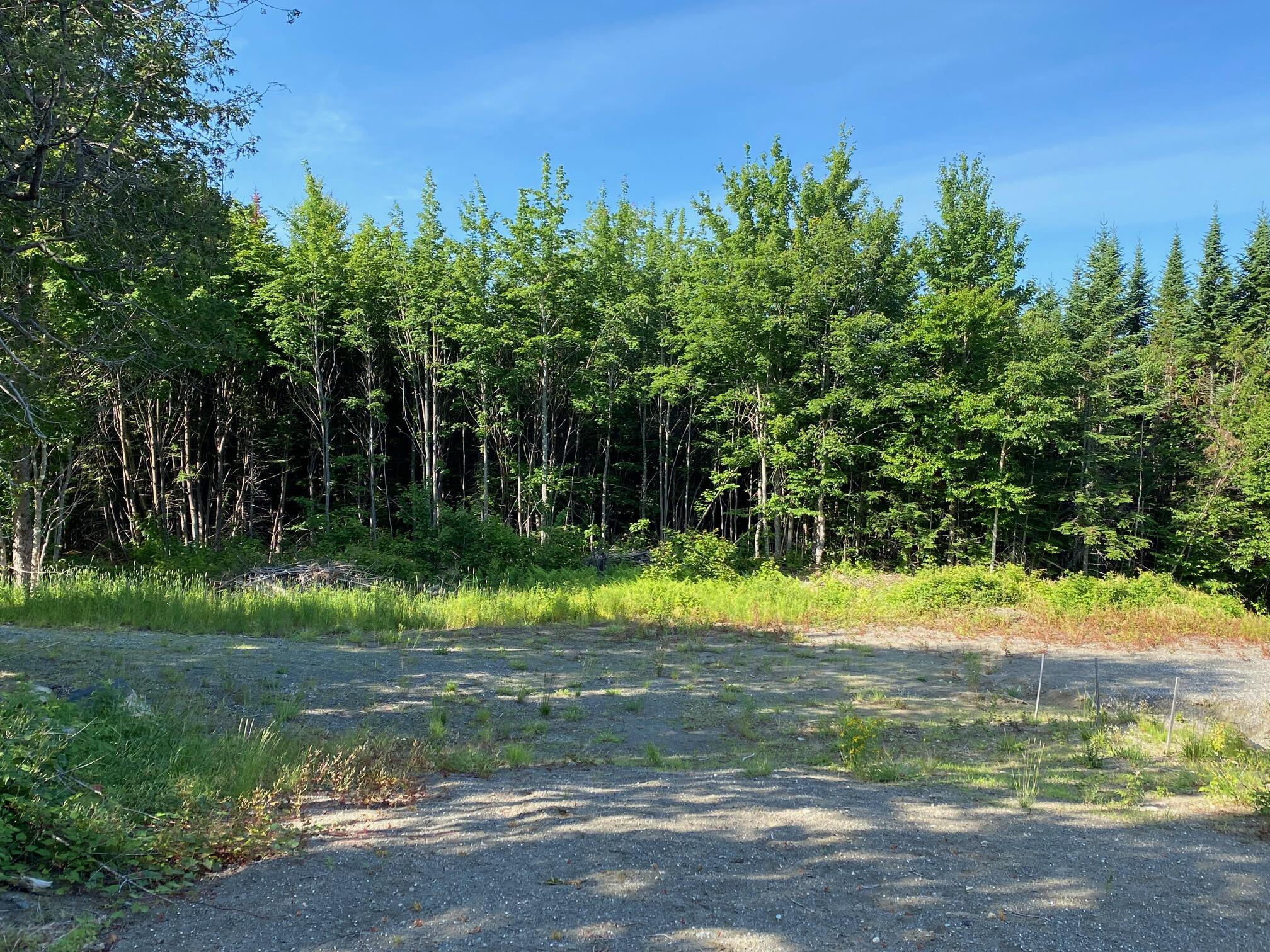 10 Virginia Trail Greenville ME 04441