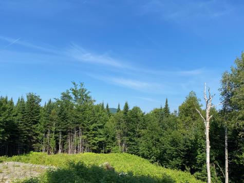 10 Virginia Trail Greenville ME 04441