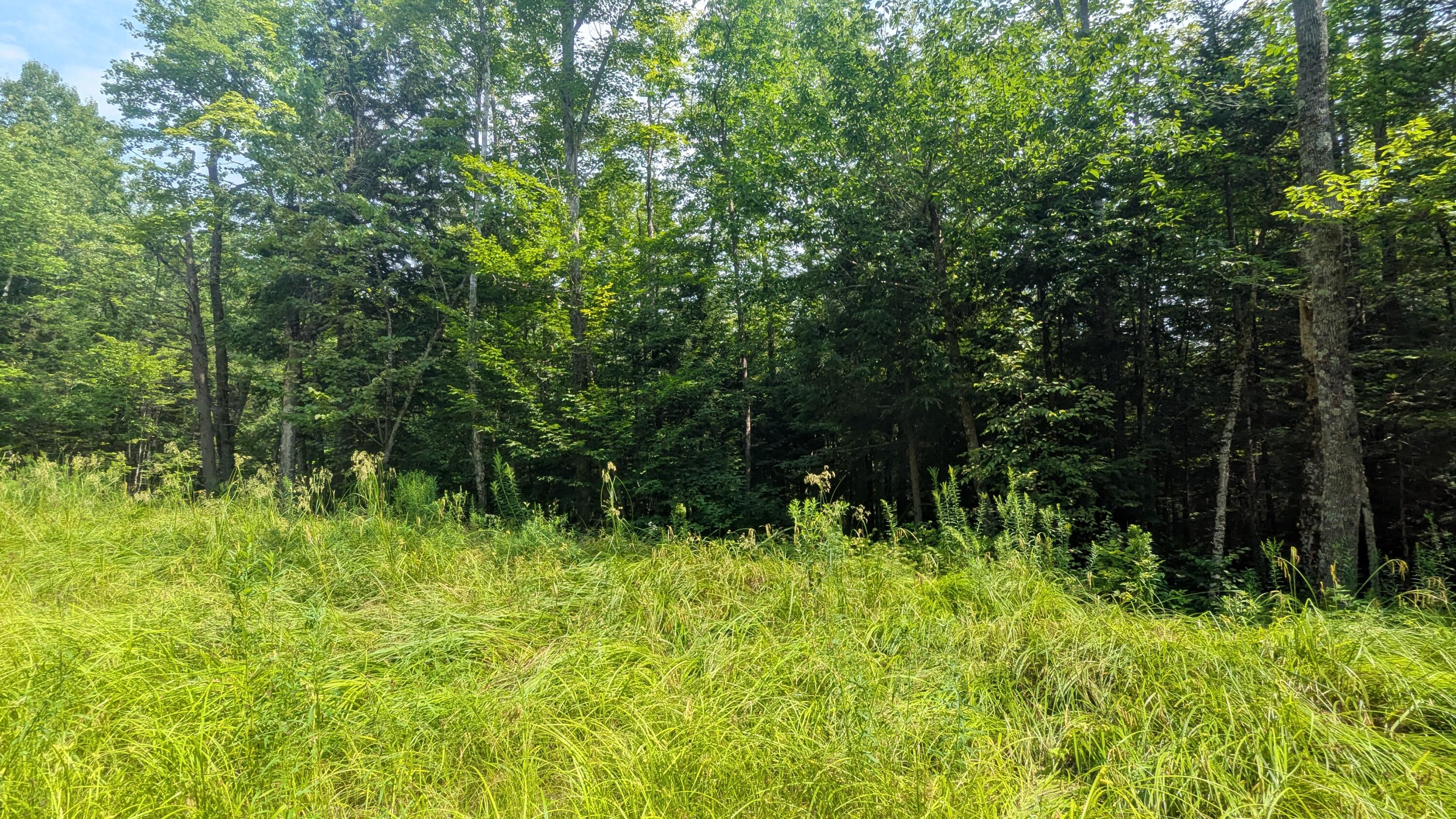 M15 L17 Quincy Woods Road Anson ME 04911