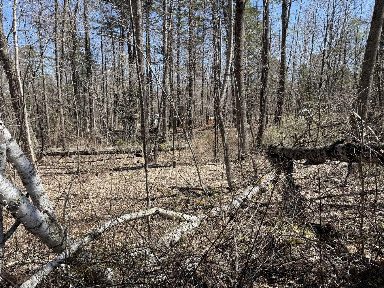 8 Williams Road Vassalboro ME 04989