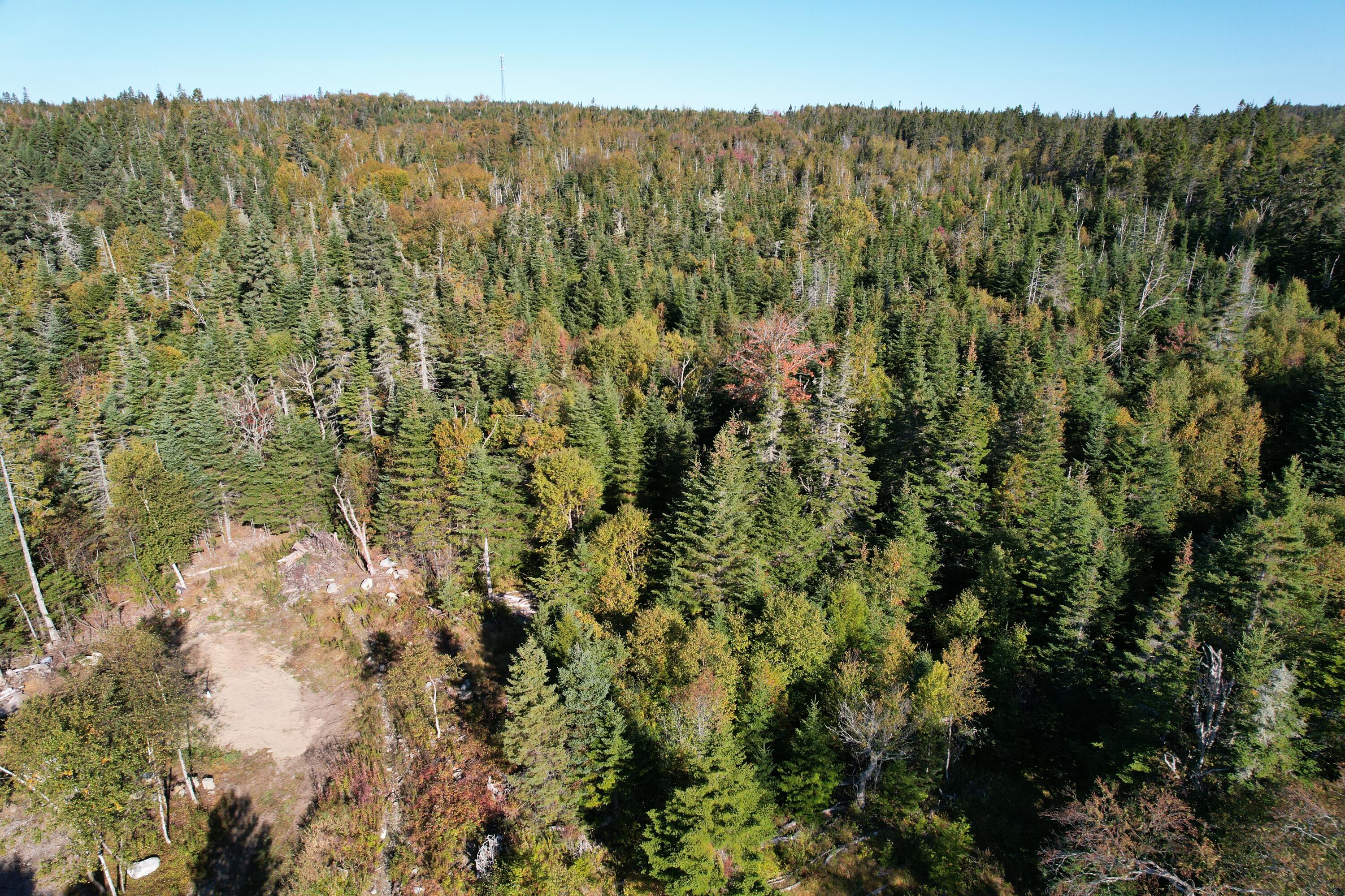 Lot 25 H Boot Cove Road Lubec ME 04652