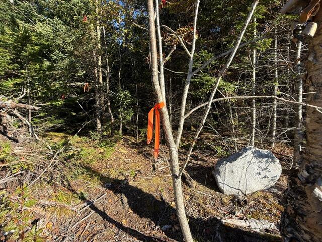 Lot 25 H Boot Cove Road Lubec ME 04652