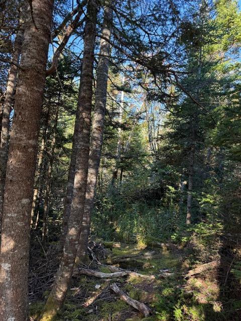Lot 25 H Boot Cove Road Lubec ME 04652