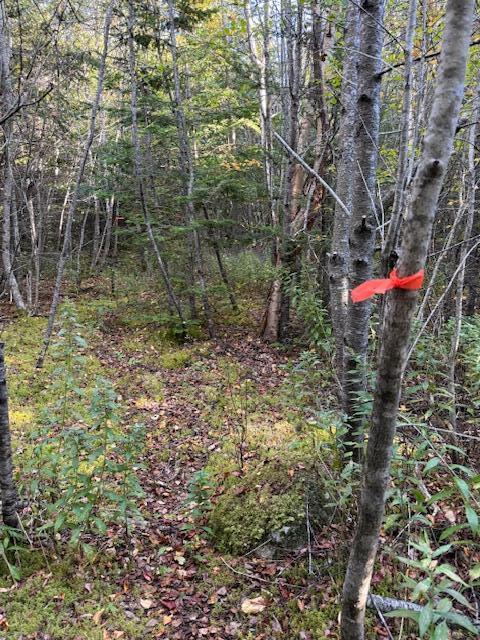 Lot 25 H Boot Cove Road Lubec ME 04652