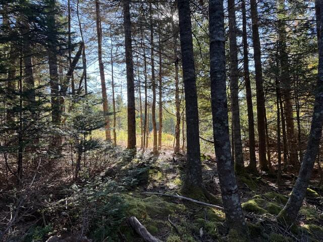 Lot 25 H Boot Cove Road Lubec ME 04652