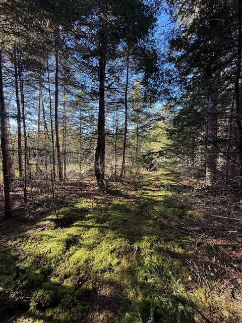 Lot 25 H Boot Cove Road Lubec ME 04652